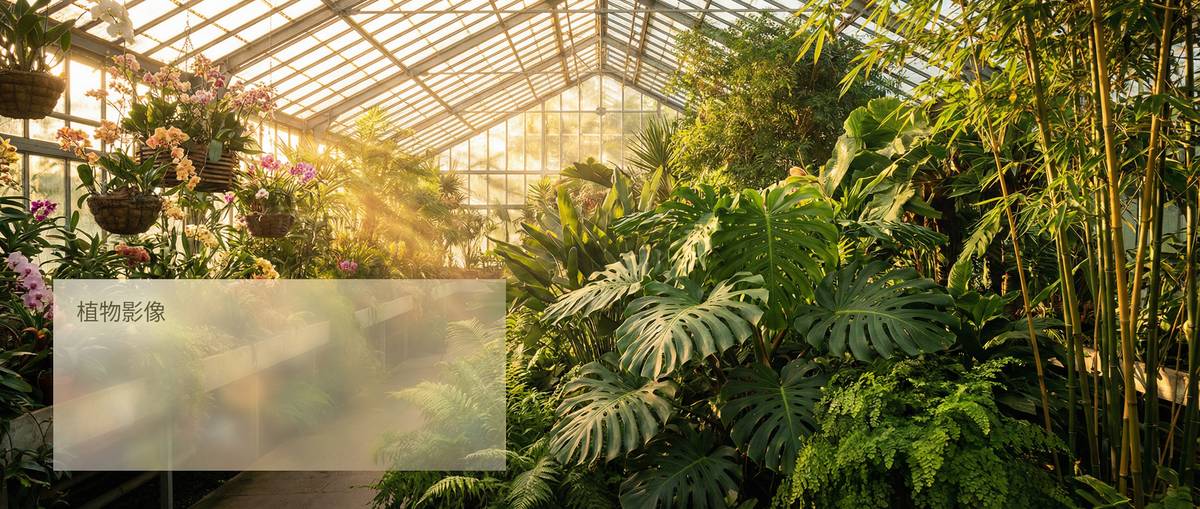 小小绘Banner - 国内知名小小绘平台eirtrL.cn